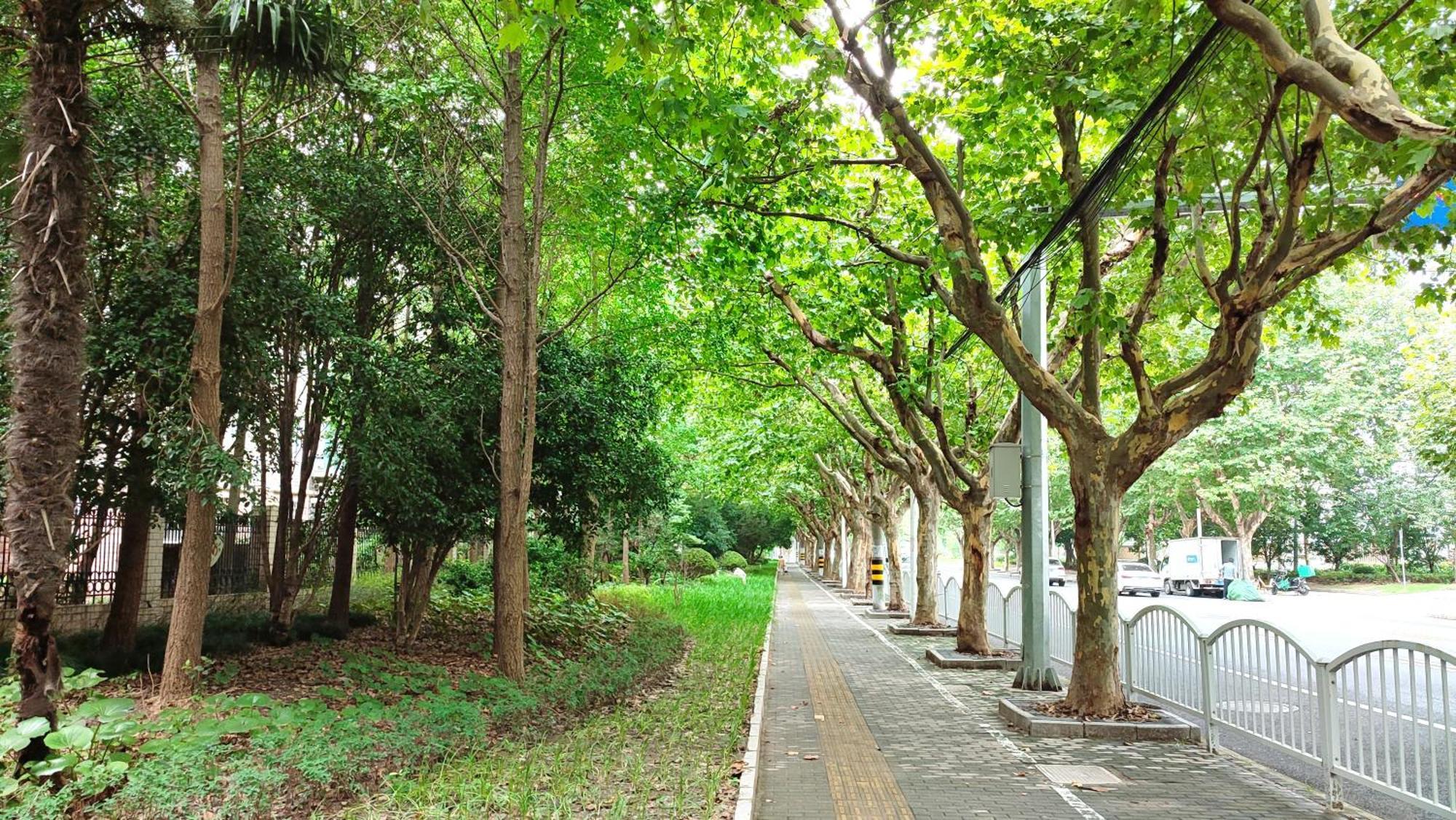 Apartemen Mrs Li's *